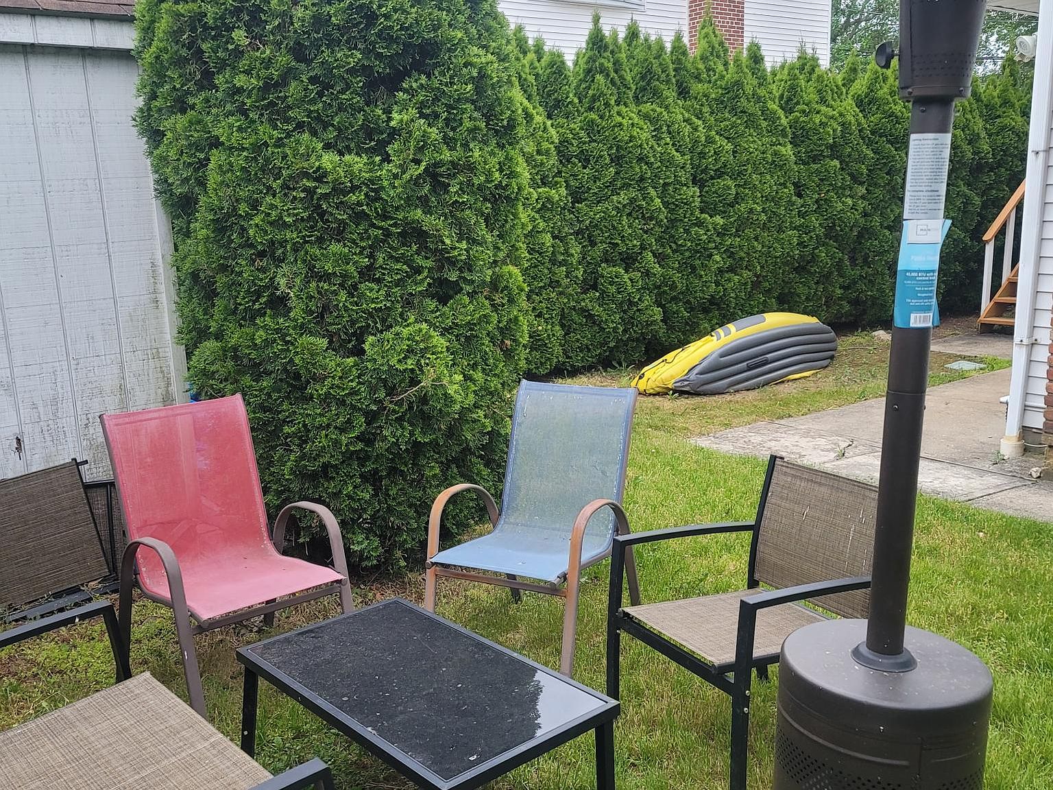 Patio and plantings
